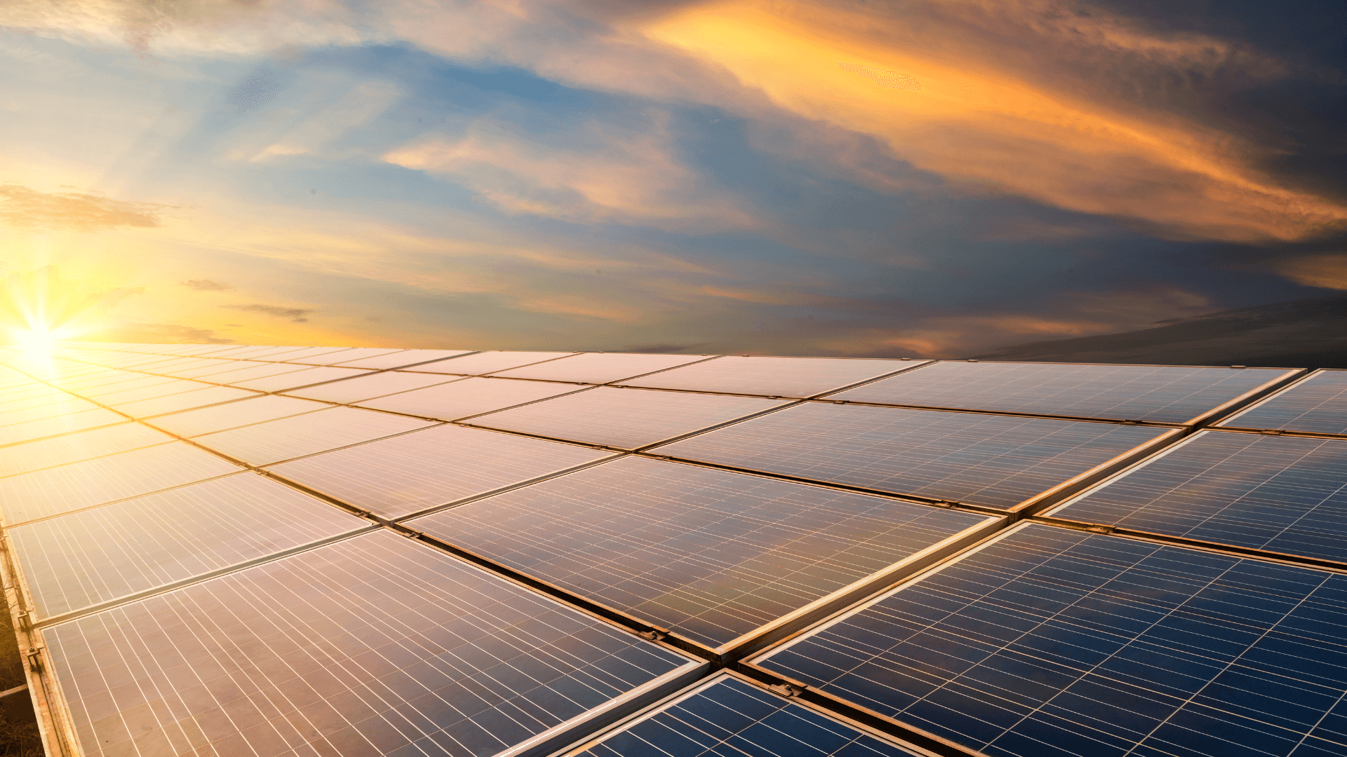 Embrace the Future with Sustainable Living