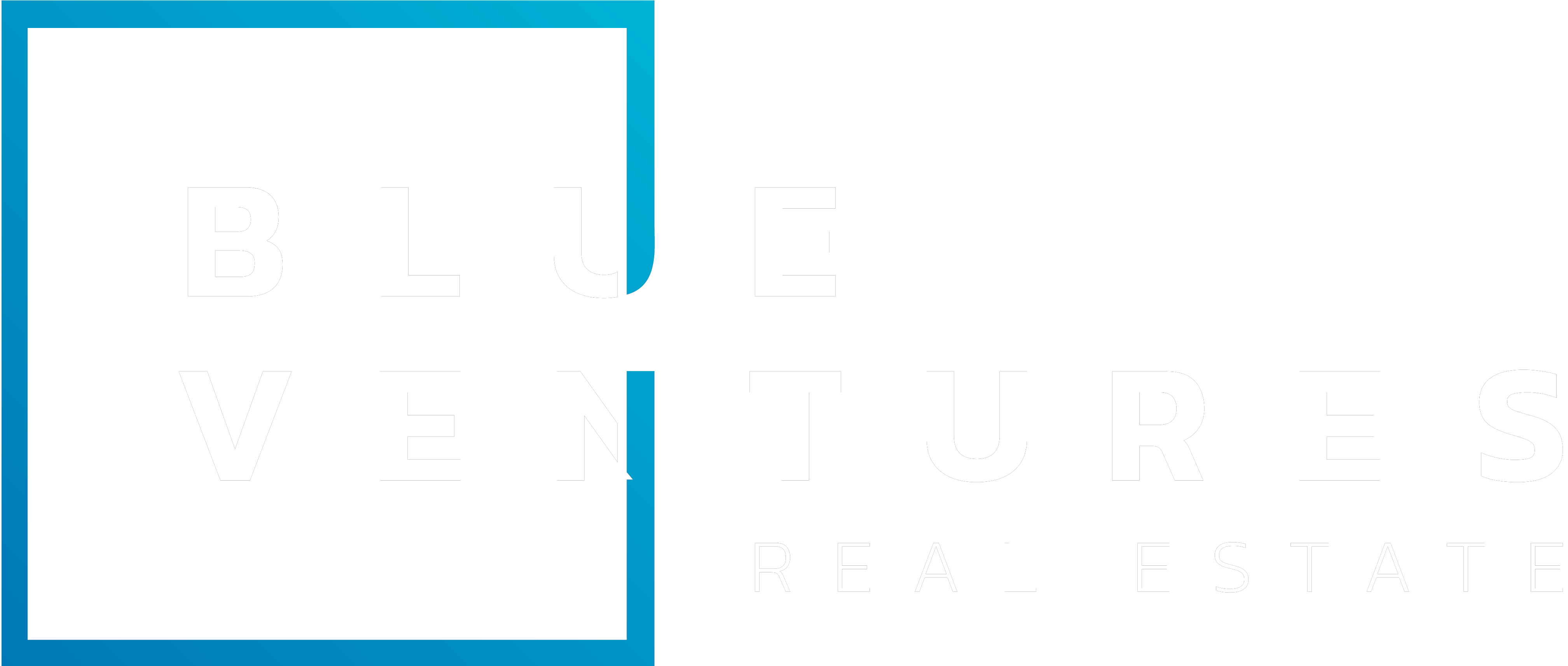 Blue Ventures